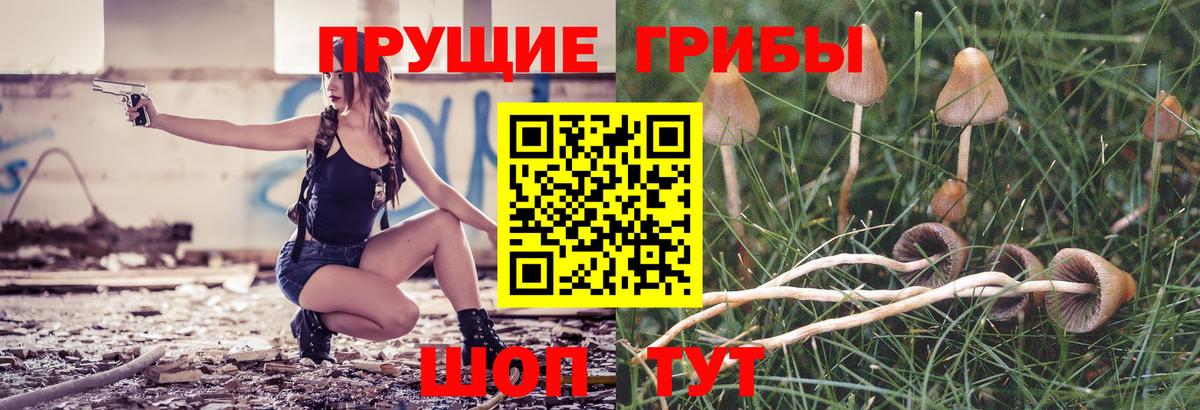 Касимов  Галлюциногенные грибы MAGIC MUSHROOMS  закладка  Вход с VPN 